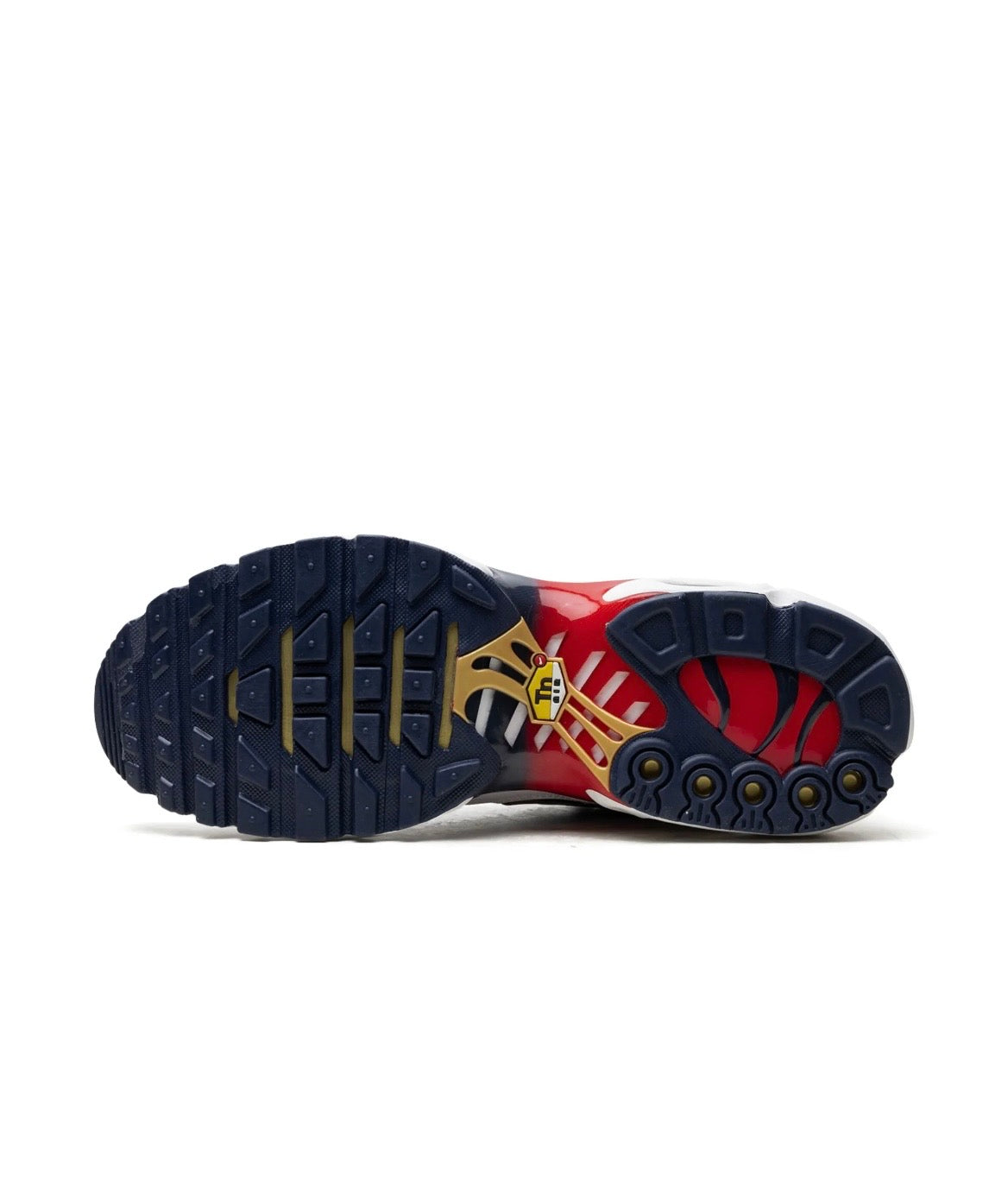 NIKE AIR MAX TN - PSG (LIMITED EDITION)